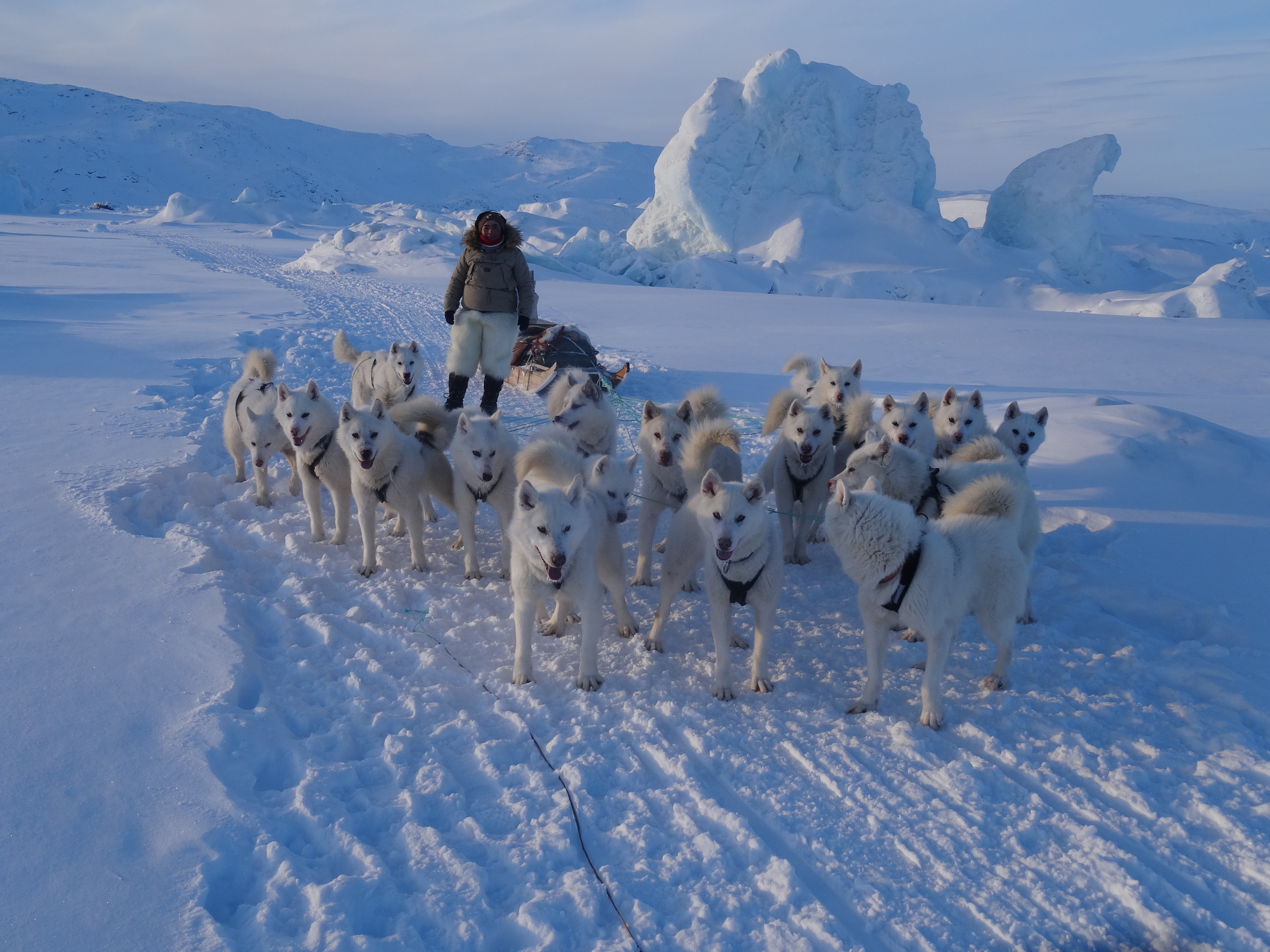 Ane Sofie amongst Icebergs